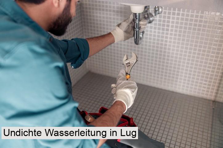 Undichte Wasserleitung in Lug